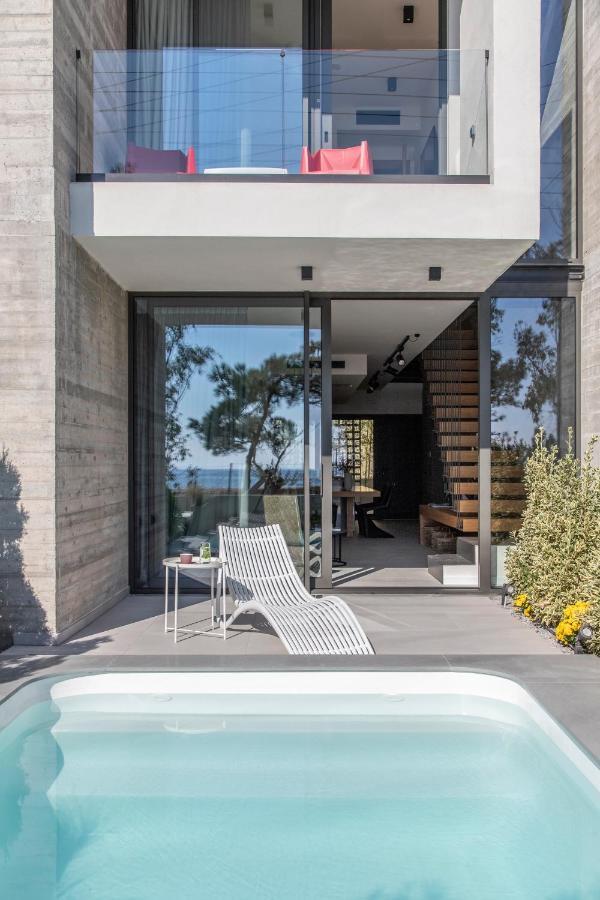 Ikies 3 Modern Eco-Friendly Private Seaview Signature Villas With A Pool Volos Exterior foto