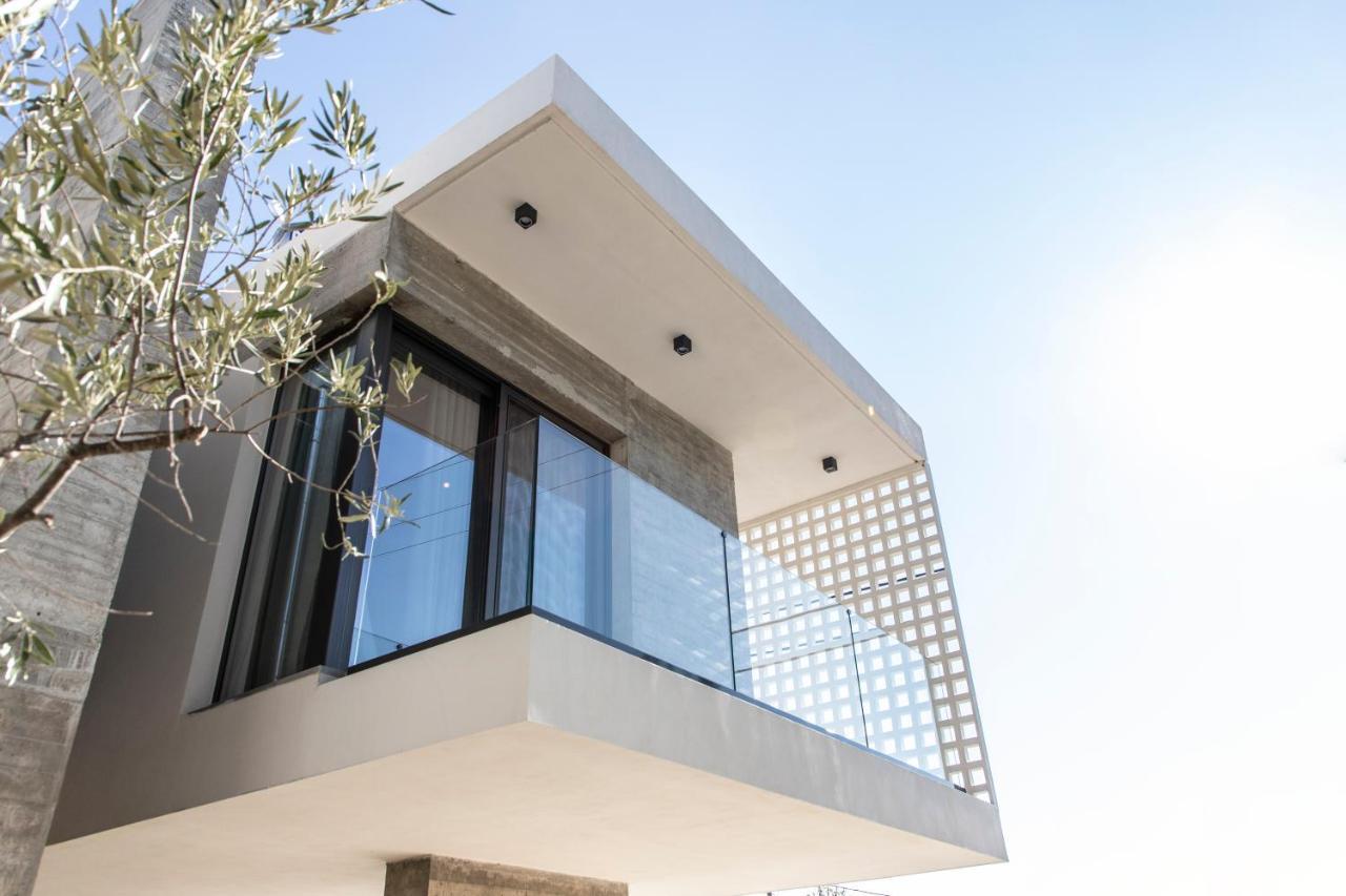 Ikies 3 Modern Eco-Friendly Private Seaview Signature Villas With A Pool Volos Exterior foto